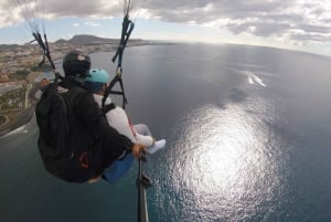 Tenerife: Guidet paragliding for begyndere med afhentning og aflevering