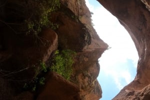 Tenerife: Guided Canyoning Experience in Los Arcos