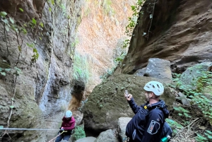 Tenerife: Experiencia guiada de barranquismo en Los Arcos