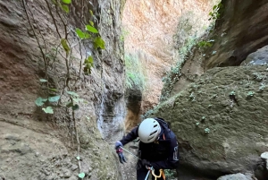 Tenerife: Experiencia guiada de barranquismo en Los Arcos