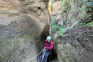 Tenerife: Experiencia guiada de barranquismo en Los Arcos
