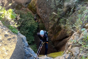 Tenerife: Experiencia guiada de barranquismo en Los Arcos