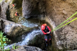 Tenerife: Guided Canyoning Experience