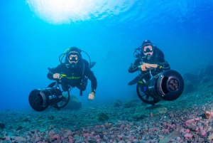 Tenerife: Guided Dive and Scooter Experience