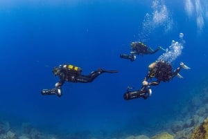 Tenerife: Guided Dive and Scooter Experience