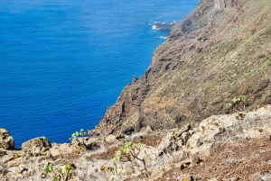 Teneryfa: Wyżyny Teno + Księżycowa sceneria – wędrówka z przewodnikiem