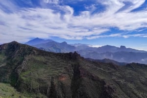Teneryfa: Wyżyny Teno + Księżycowa sceneria – wędrówka z przewodnikiem