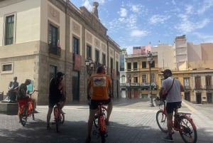 Tenerife: Guided Historical Bike Tour with E-Bike Option
