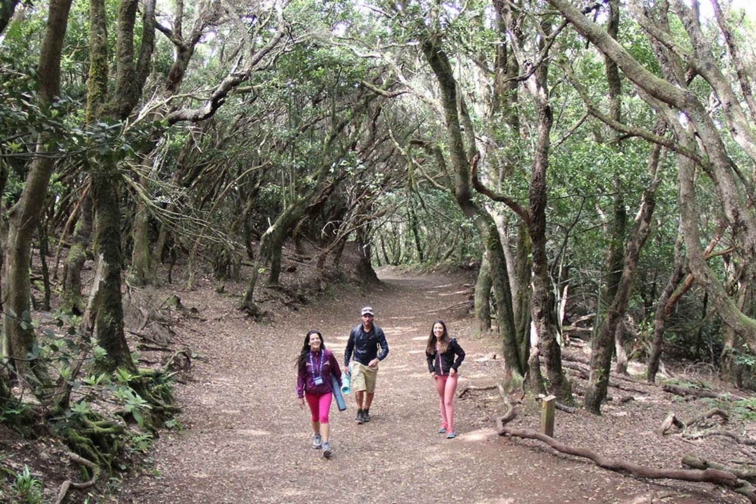 Tenerife: Guided Mindful Hike in Anaga Biosphere Reserve