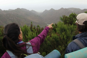 Tenerife: Guided Mindful Hike in Anaga Biosphere Reserve