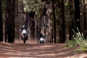 Tenerife: Motorsykkeltur med guide – Off Road