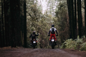 Tenerife: Motorsykkeltur med guide – Off Road