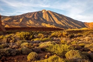 Tenerife: Guided Off-Road Quad Tour on Mount Teide