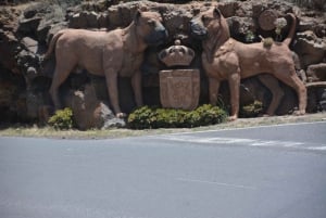 Tenerife Guided Quad Bike Tour to Teide National Park