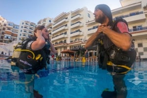 Tenerife; guidede dykkerture med båd i små grupper