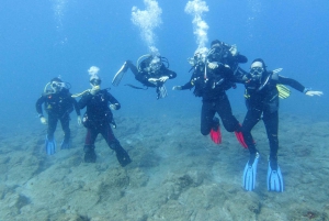 Tenerife; guided Scuba diving trips by boat in small groups