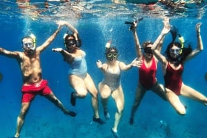 Tenerife: Guided snorkeling with equipment included in the clear waters