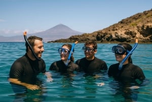 Tenerife: Guided snorkeling with equipment included in the clear waters