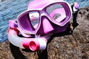 Tenerife: Guided snorkeling with equipment included in the clear waters