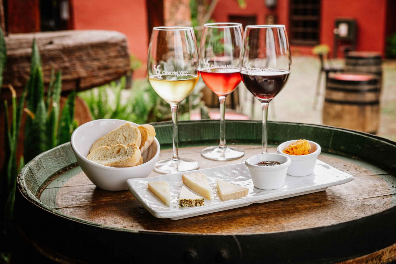 Tenerife: Guidet tur på Casa del Vino & vinsmagning