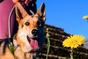 Tenerife : Visite guidée aux Pirámides de Güímar