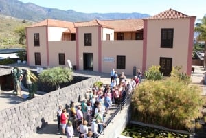 Tenerife: Tour guiado em Pirámides de Güímar