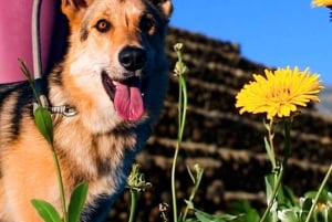 Tenerife: Tour guiado em Pirámides de Güímar