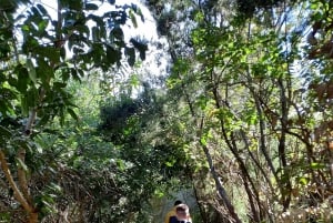 Tenerife: Guided tour guide in the Anaga Rural Park