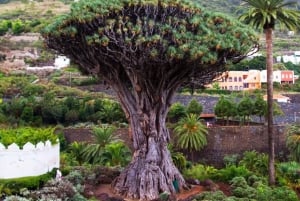 Тенерифе: экскурсия с гидом по Тейде-Маска-Гарачико-Икод с отправлением с юга.