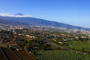 Тенерифе: экскурсия с гидом по Тейде-Маска-Гарачико-Икод с отправлением с юга.