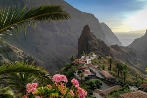 Тенерифе: экскурсия с гидом по Тейде-Маска-Гарачико-Икод с отправлением с юга.