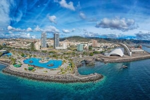 Тенерифе: экскурсия с гидом по Тейде-Маска-Гарачико-Икод с отправлением с юга.