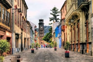 Тенерифе: экскурсия с гидом по Тейде-Маска-Гарачико-Икод с отправлением с юга.