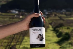 Tenerife: Tour guidato con degustazione di 6 vini