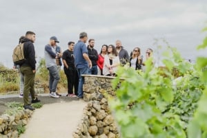 Tenerife: Tour guidato con degustazione di 6 vini