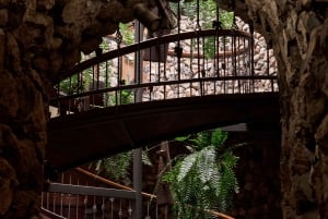 Teneriffa: Führung mit Verkostung von 6 Weinen