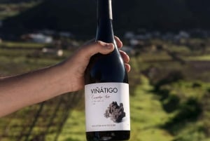 Teneriffa: Führung mit Verkostung von 6 Weinen
