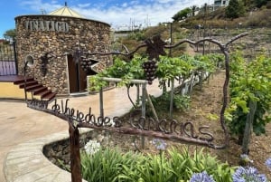 Teneriffa: Führung mit Verkostung von 6 Weinen