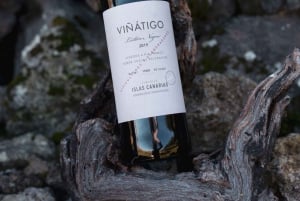 Teneriffa: Führung mit Verkostung von 6 Weinen