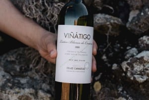 Teneriffa: Führung mit Verkostung von 6 Weinen