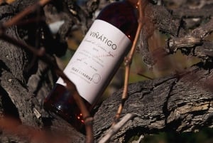 Teneriffa: Führung mit Verkostung von 6 Weinen