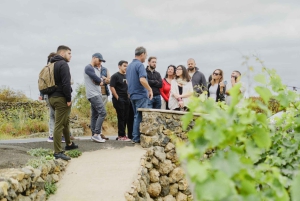 Teneriffa: Führung mit Verkostung von 6 Weinen