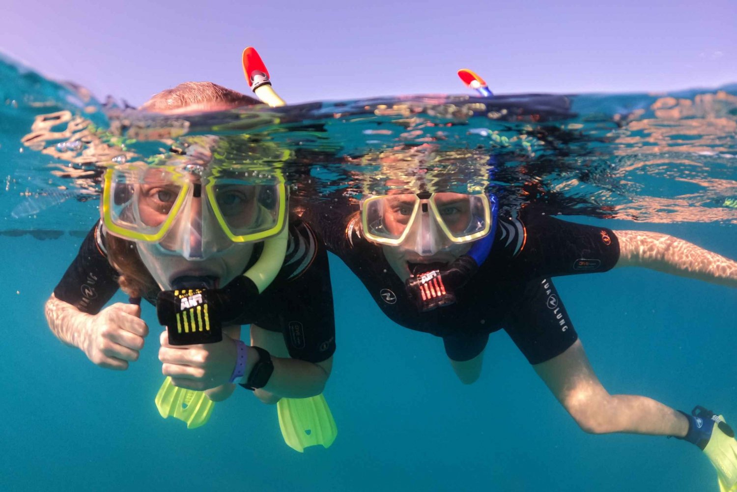 Tenerife: Half-Day Snorkeling Tour