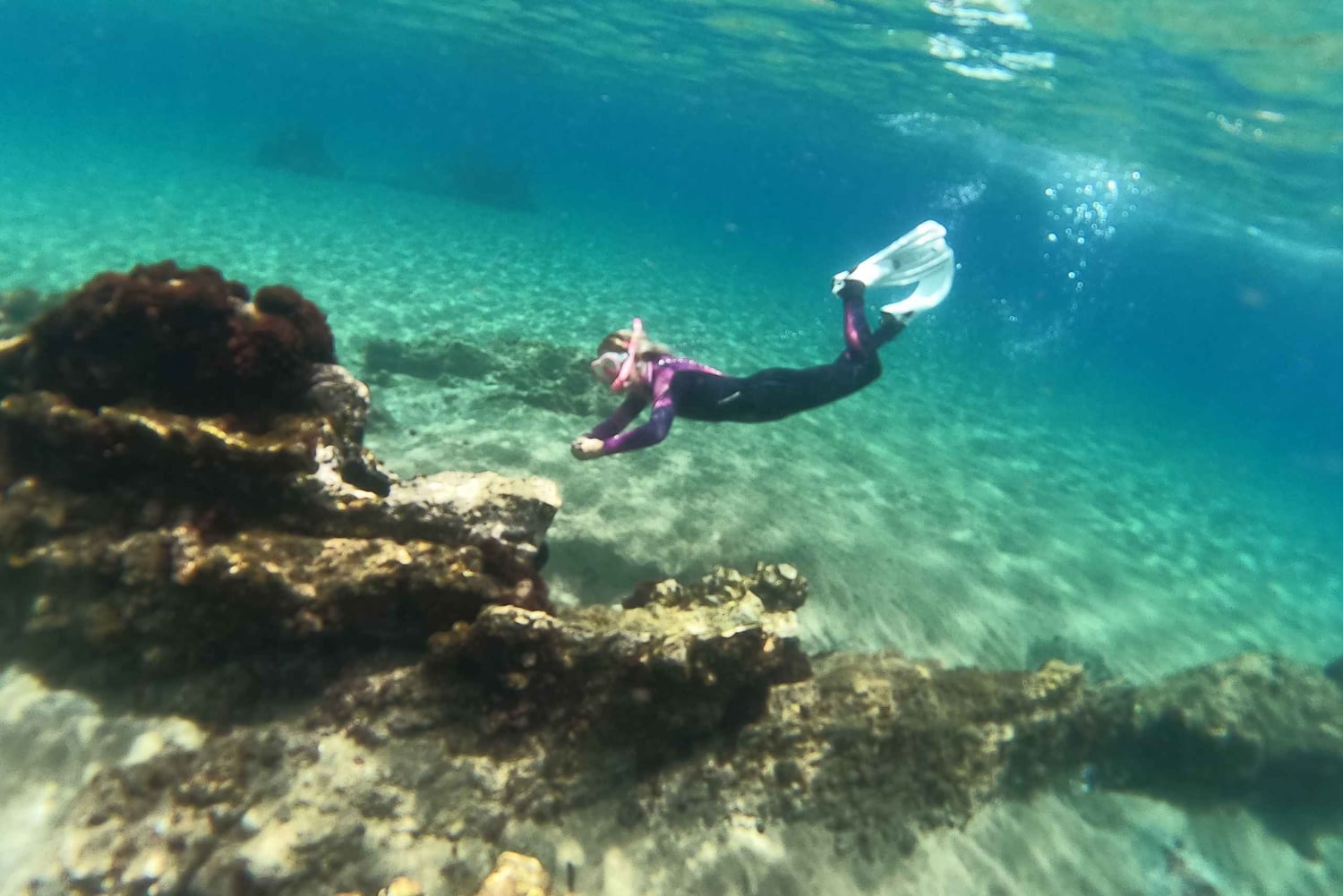 Teneriffa: Puolipäiväinen snorklauskierros