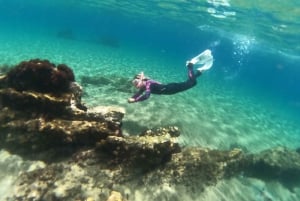 Teneriffa: Puolipäiväinen snorklauskierros