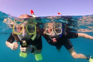 Teneriffa: Puolipäiväinen snorklauskierros