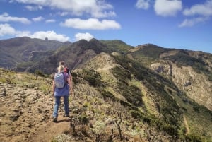 Tenerife: Anaga guided Hike – Coast & Laurel Forest