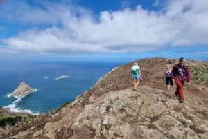 Tenerife: Anaga guided Hike – Coast & Laurel Forest