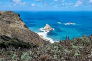 Tenerife: Anaga guided Hike – Coast & Laurel Forest