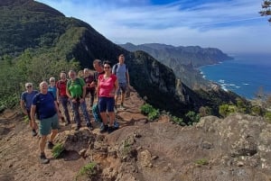 Tenerife: Anaga guided Hike – Coast & Laurel Forest